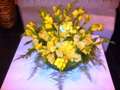 ����� -  ���� ���� 